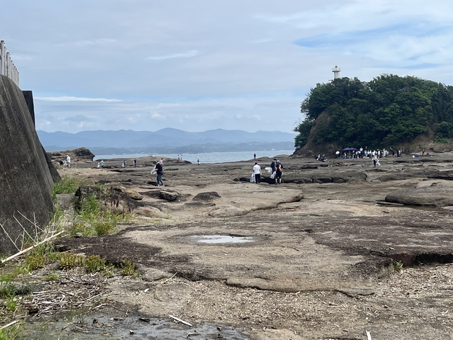 田辺湾クリーン作戦に参加した多くの市民が海岸の清掃活動をしている写真