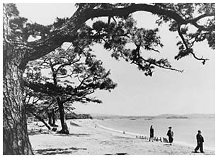 松林が続く砂浜で人々が海岸を歩いている白黒の写真