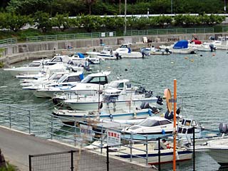 海岸沿いに整備された係留施設に沢山の船が係留されている様子の写真