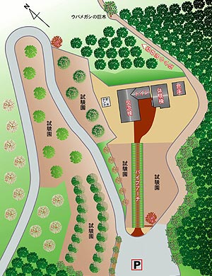 出船入船交流施設と周辺の上面図 詳細は以下