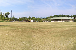 広大な芝生が広がる多目的広場の写真