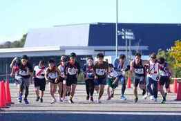 ゼッケンをつけた複数のランナーが一斉に走り出している写真