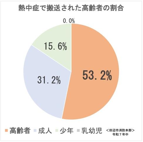 熱中症で搬送された高齢者の割合の円グラフ 詳細は以下