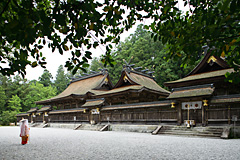 緑色の樹木に囲まれて茶色を基調とした大社の写真