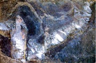 瓜谷累層最上部の赤色泥岩・緑色泥岩（白い部分は砂岩層）（秋津川のパイロット農地）