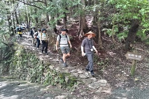 国道425号