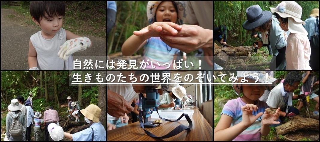 自然観察教室の様子