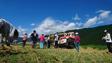 稲刈りの行われている田んぼでコンバインの周囲に複数の人が集まって作業している写真