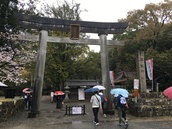雨の中、傘を差した人々が大きな鳥居をくぐって境内へ向かっている写真