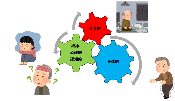 フレイルに陥る要因を説明したイラスト