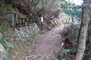 山の中の小道に祠が置かれている写真