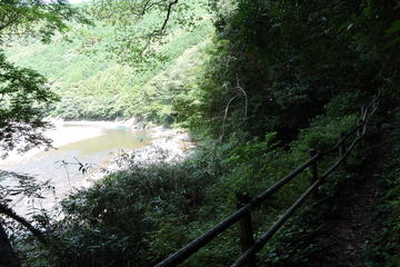 木で作られた柵がある道のそばに川が流れている写真