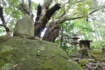 岩や石畳の上に文字の彫られた石や仏像が設置されている写真