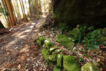 苔の生えた地蔵が祀られている山の小道の写真