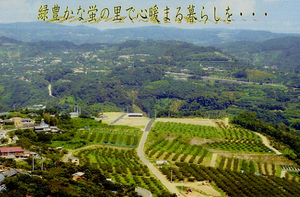 緑豊かななぎ団地分譲宅地の風景写真