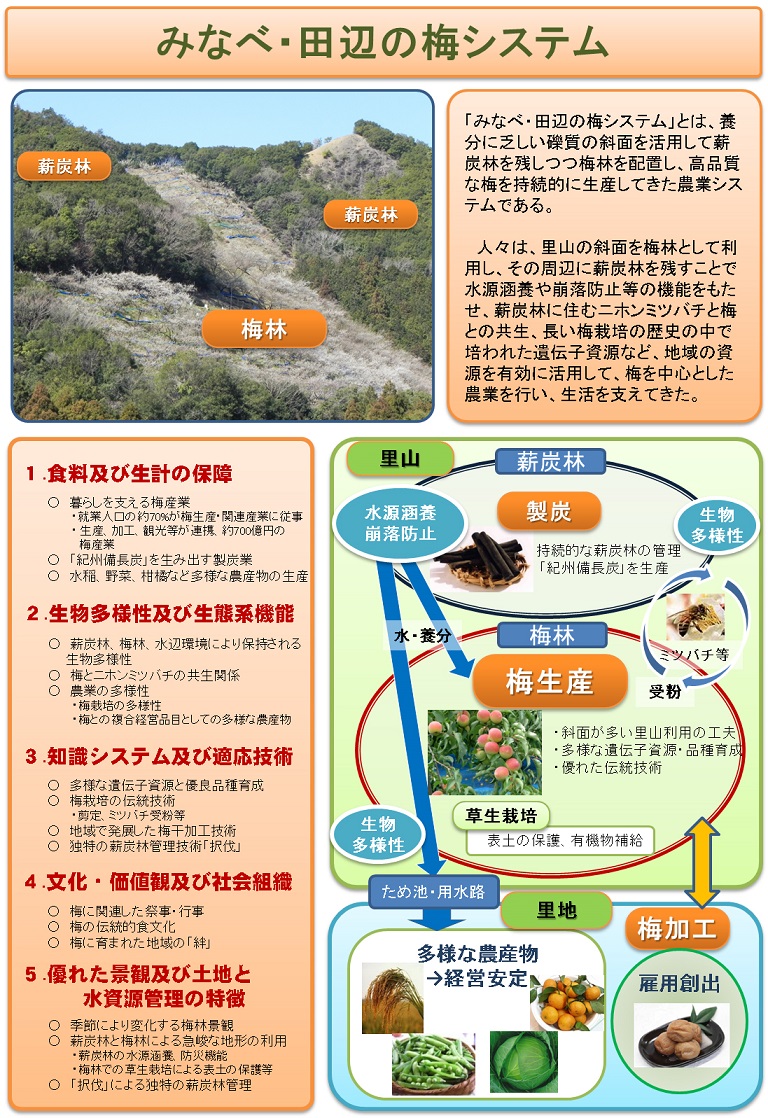 みなべ・田辺の梅システムのフロー図