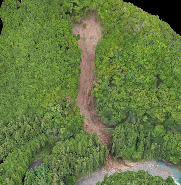 木が茂っている山の斜面で土砂崩れが起きている航空写真