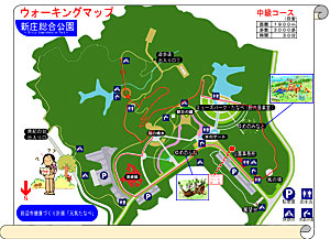 中級コースが示された新庄総合公園のマップ