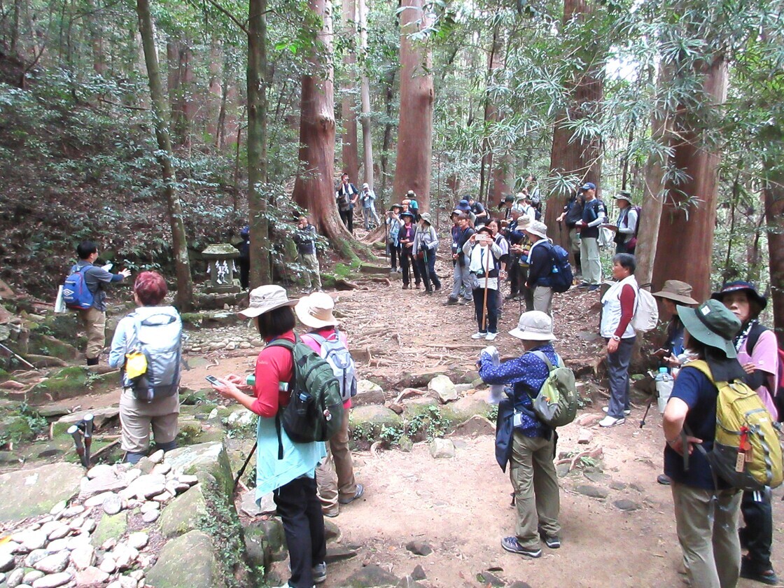 石のある地面に木々が生えており、そこに多くの人々が立っている写真