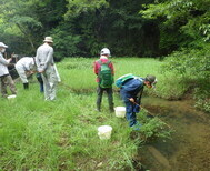 草むらに挟まれた川に棒を持って覗き込んでいる男女の写真