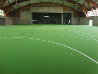 アーチ型の天井と線の描かれた緑色の床をした体育館の写真