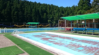 周囲が森で囲まれている屋外プールの写真