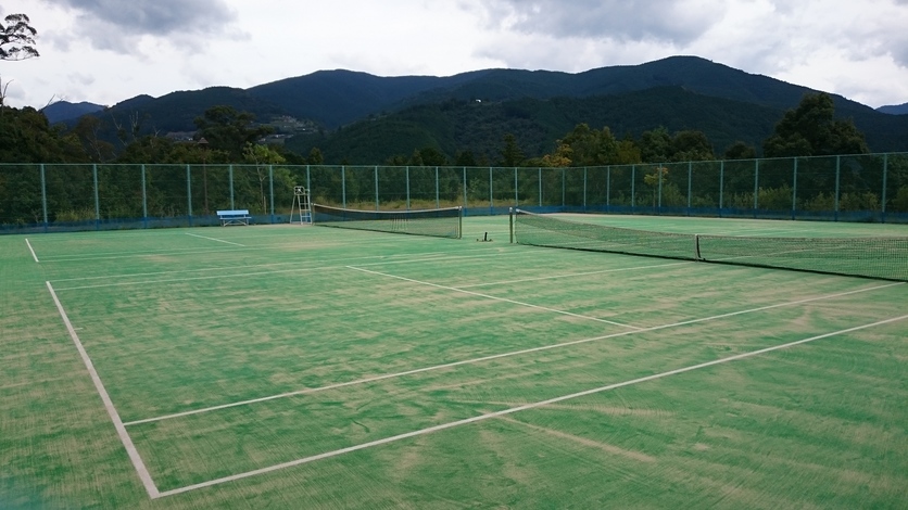 人工芝のテニスコートが2面並んでいる写真
