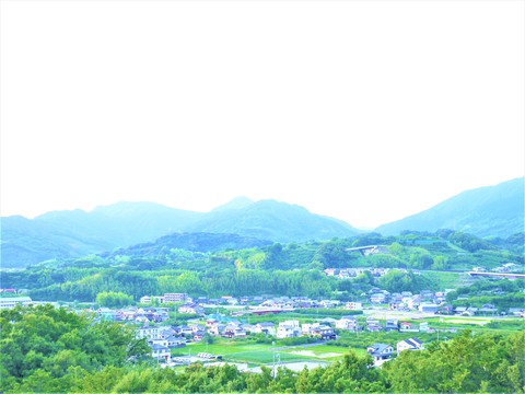 山あいに広がる住宅地と田畑の風景を高台から写した写真