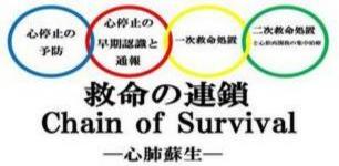 救命の連鎖の図 詳細は以下