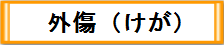 外傷（けが）