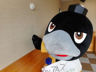 壁に設置された火災報知器の点検ひもをひっぱるカラスのキャラクター着ぐるみを着た人物の写真