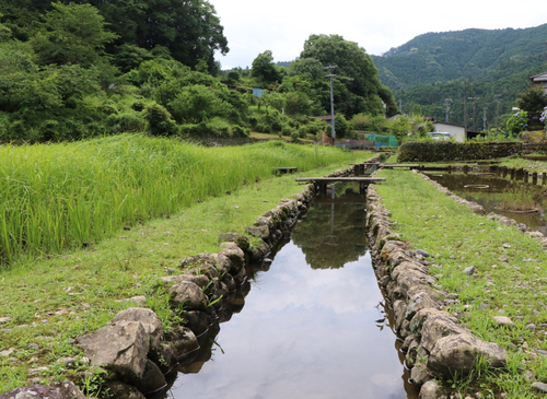 真ん中に水路があり、両側に短い草が生えている脇道がある写真