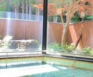 大浴場の横に大きな窓がついており、外の草木を見ることができる場所からの写真