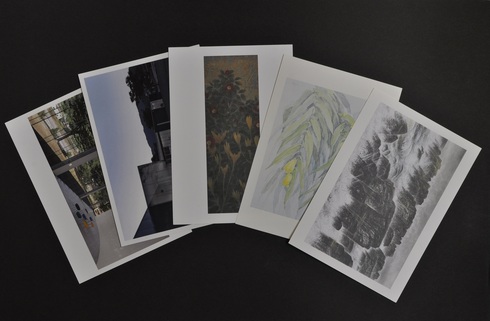 大きな滝や草木が描かれている5枚の絵はがきが並んでいる写真
