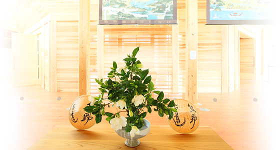 建物の床の上に置かれた花瓶と花瓶に活けられた緑の葉がついている白い花の写真