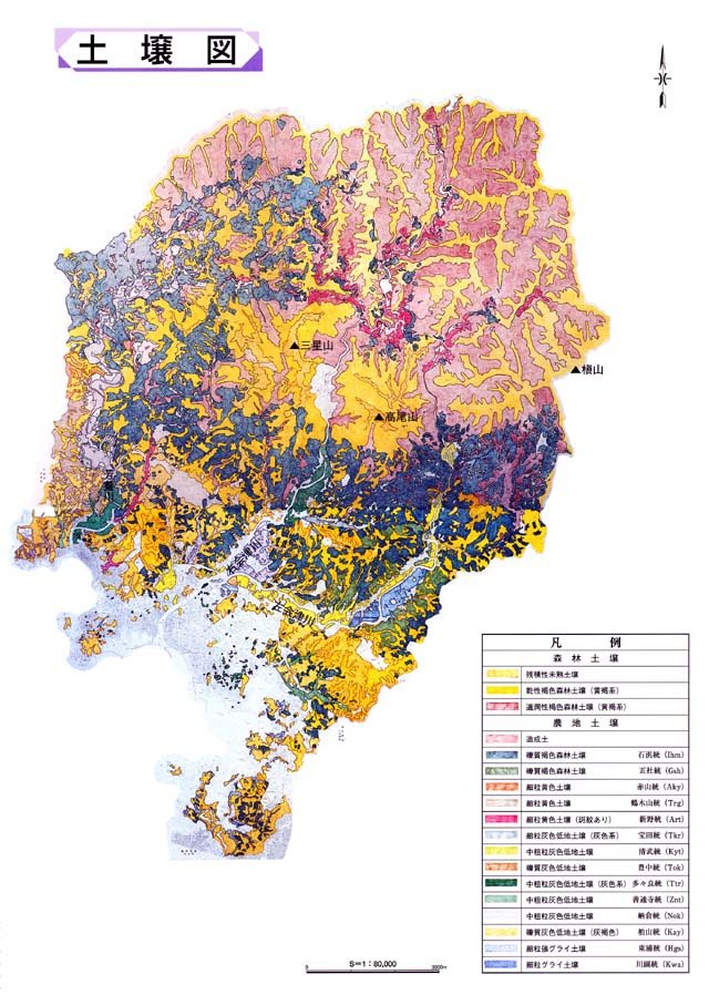 土壌の状況に関する土壌図 詳細は以下