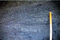 小さな石を多く含む砂が層状に重なった地層を、尺度となる棒とともに写した写真