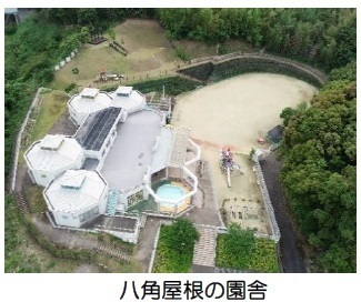緑色の木々に囲まれ上空から撮影した白色を基調とした八角屋根の園舎の写真
