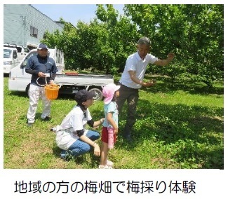 外で園児が地域の方の梅採り体験を行っている写真
