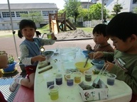 園児たちが様々なお花を使って色水遊びをしている写真