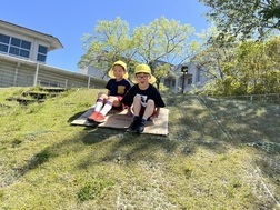 園児たちが芝滑りを楽しんでいる写真