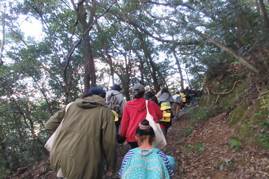 木々が生い茂った山の中を園児たちと大人たちが登っている写真