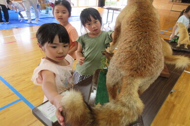 園児たちが動物のはく製を触っている写真
