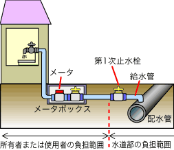 サンプル画像