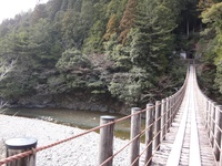 turibashi